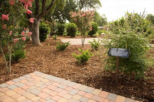 american addiction centers photo