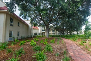 american addiction centers photo