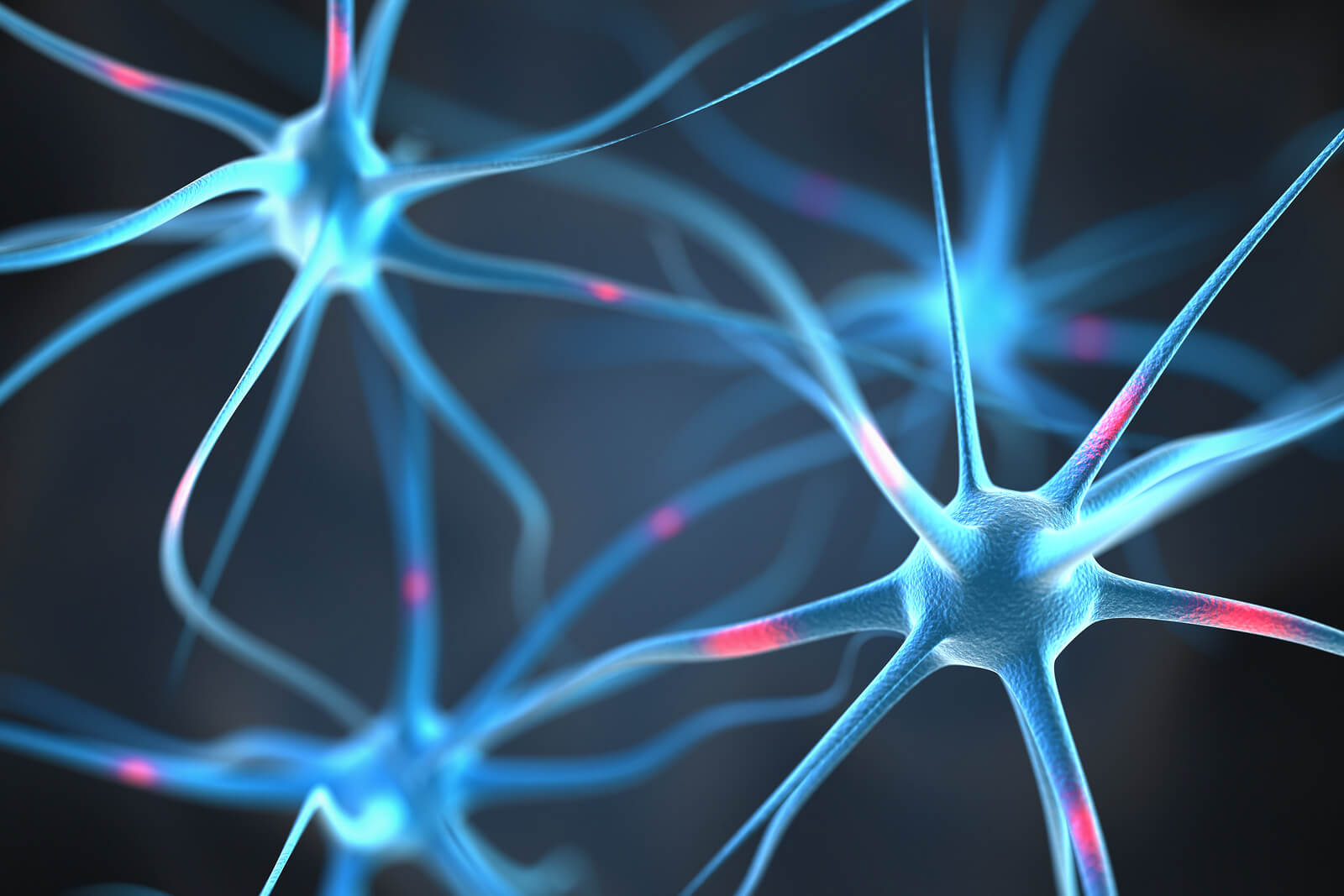 How Do Drugs and Alcohol Affect the Brain and Central Nervous System?