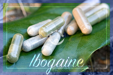  What Is the Success Rate for Ibogaine?