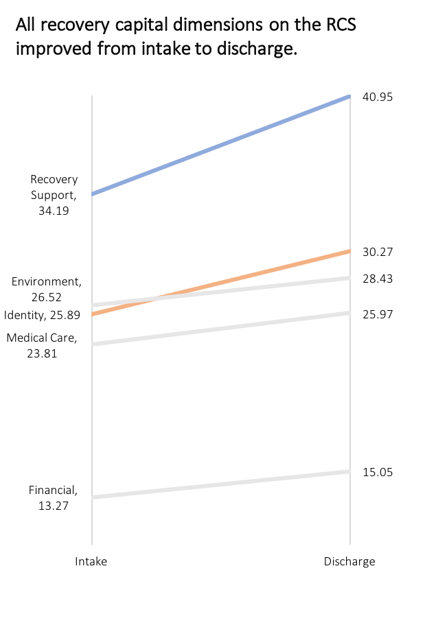 Recovery Capital Dimensions