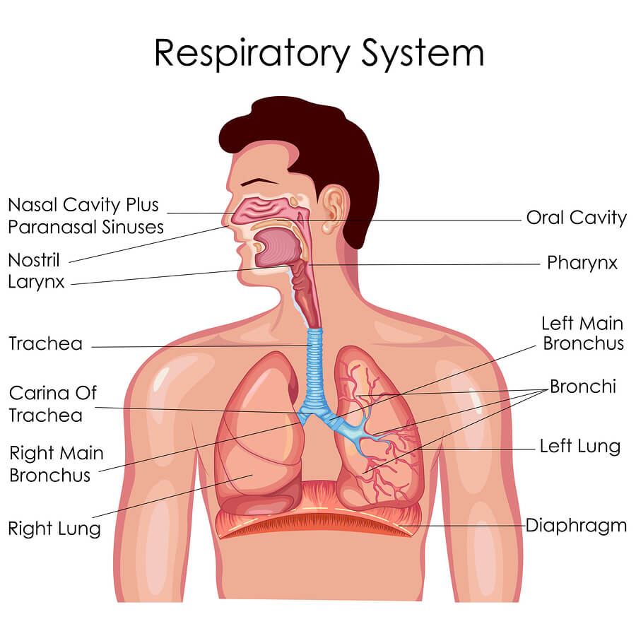 What Drugs Can Cause Breathing Problems - Substance Abuse on the ...