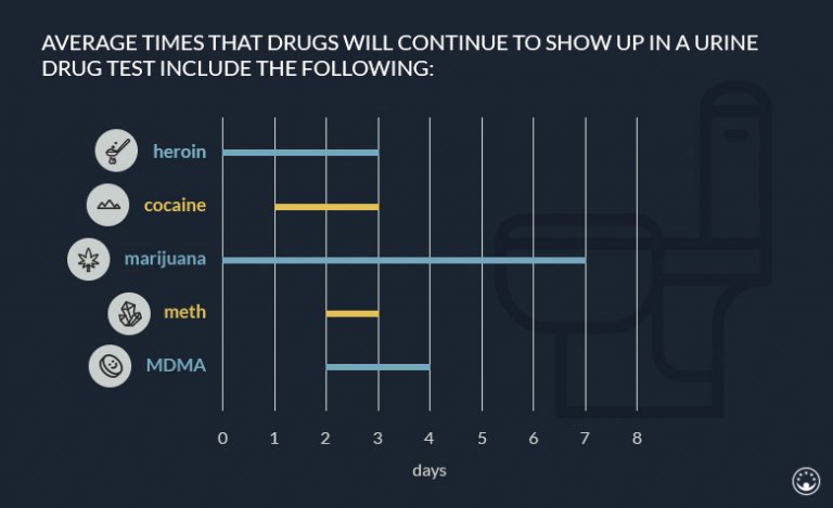 Urine Drug Test Detection Times Chart