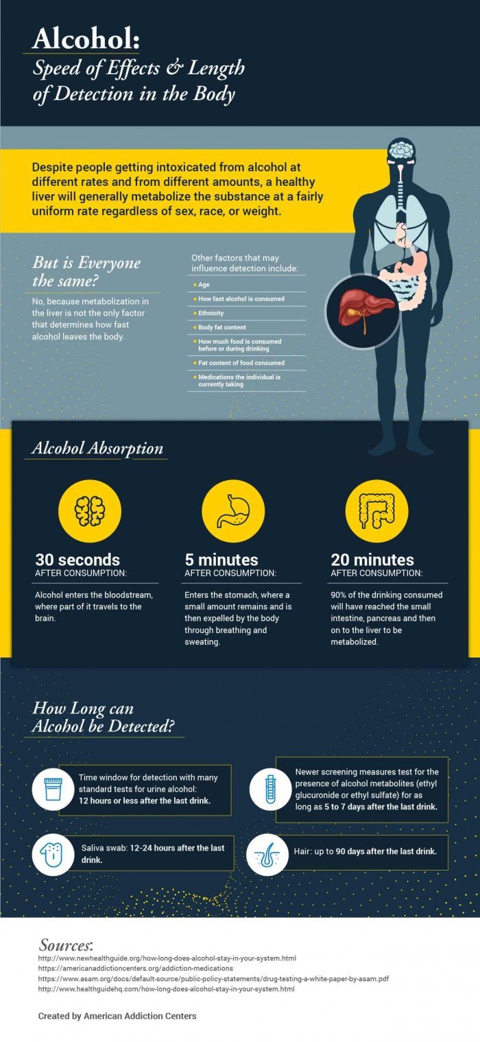 How Long Does Alcohol Stay In Your System: Urine, Blood ...