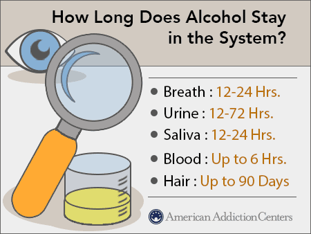 Alcohol In System 