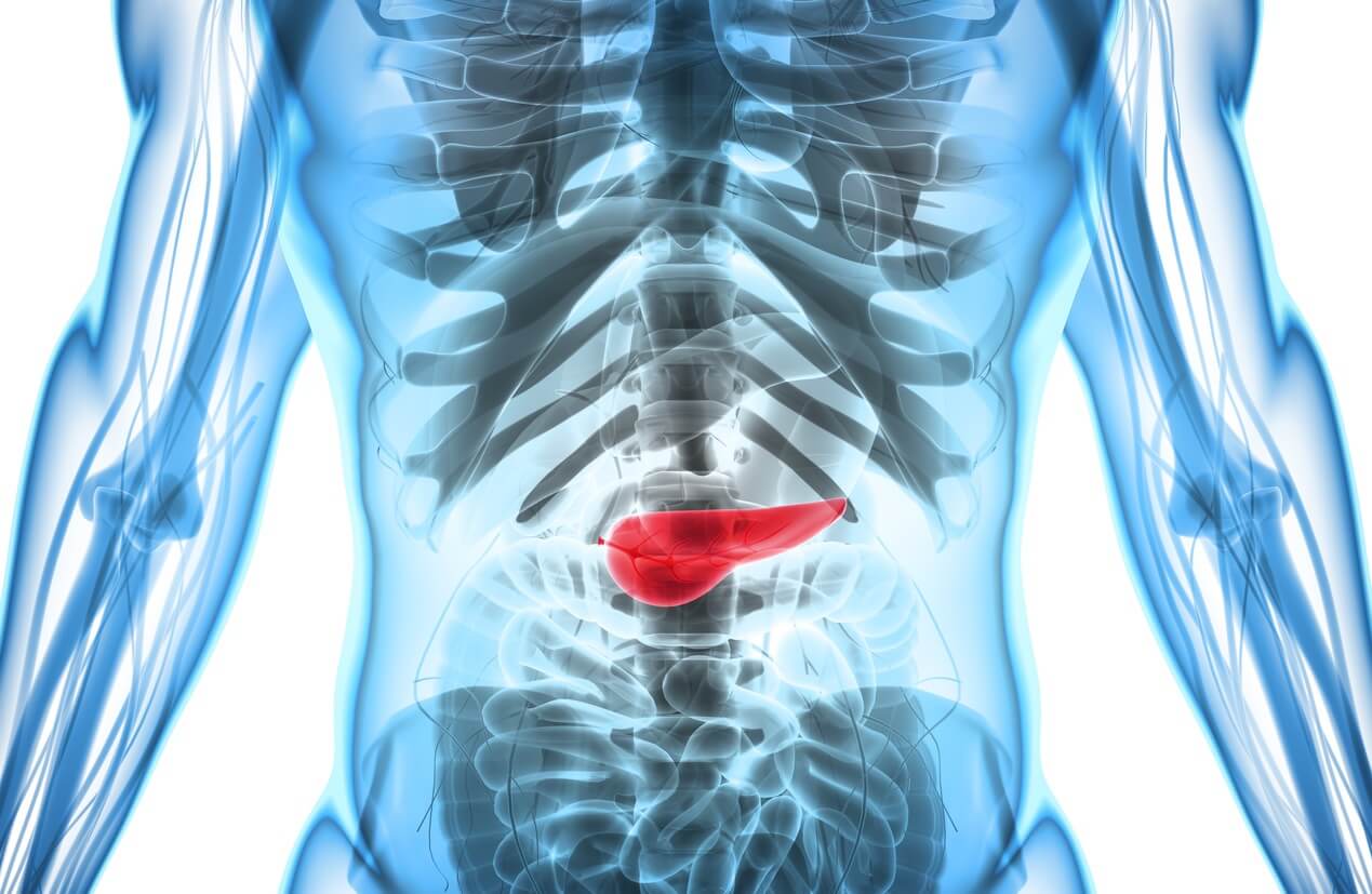 The Effects of Alcohol on the Pancreas