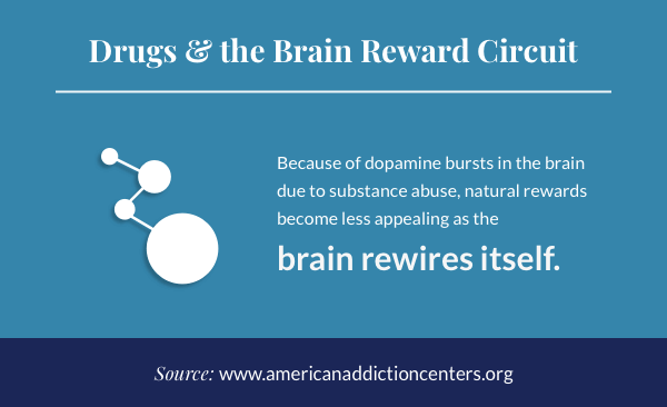 Drugs and the Brain Reward Circuit