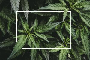 american addiction centers photo
