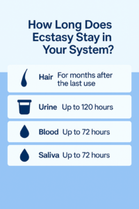how long does ecstasy last in your system?